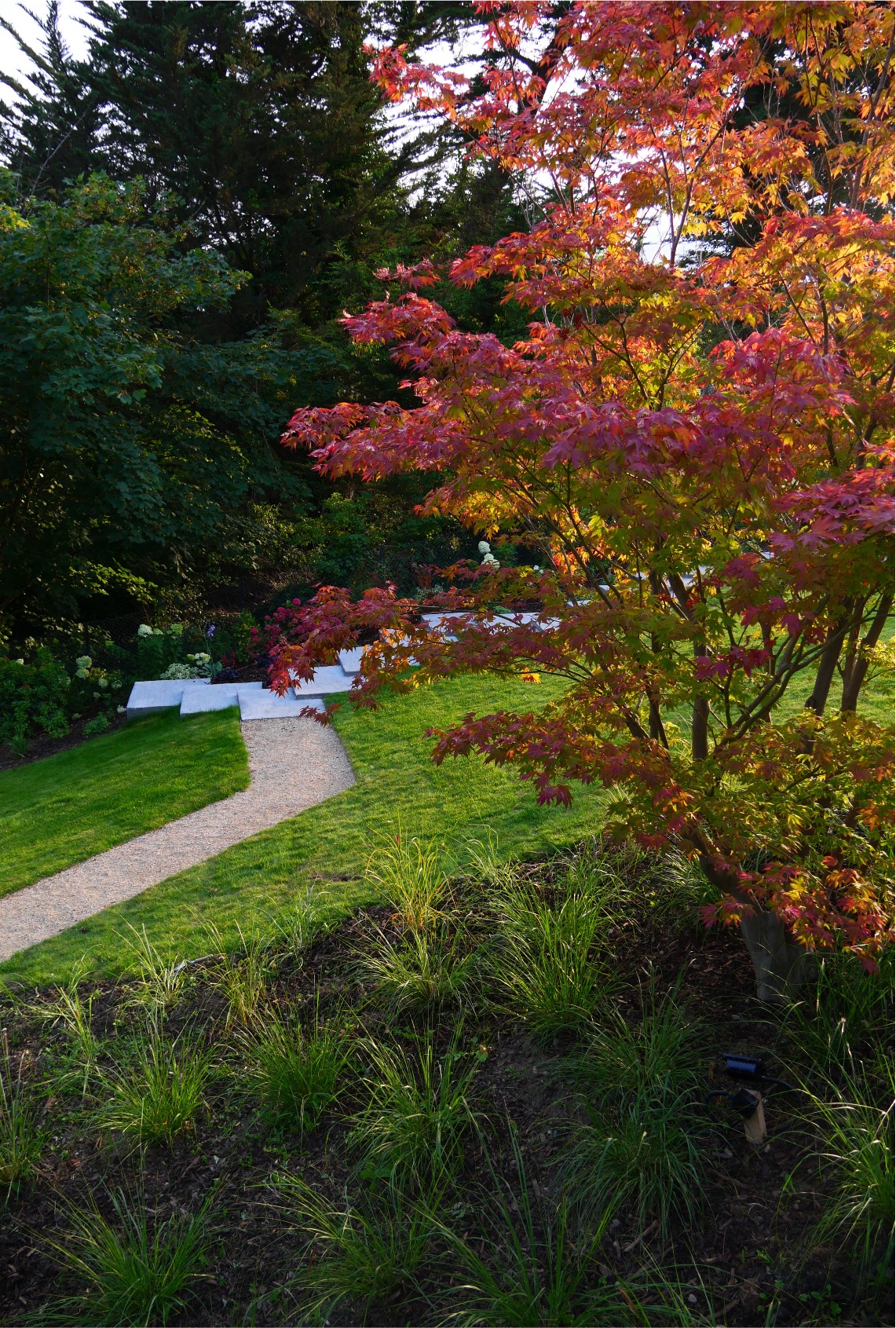 Design Solutions: Steps – Tim Austen Garden Designs
